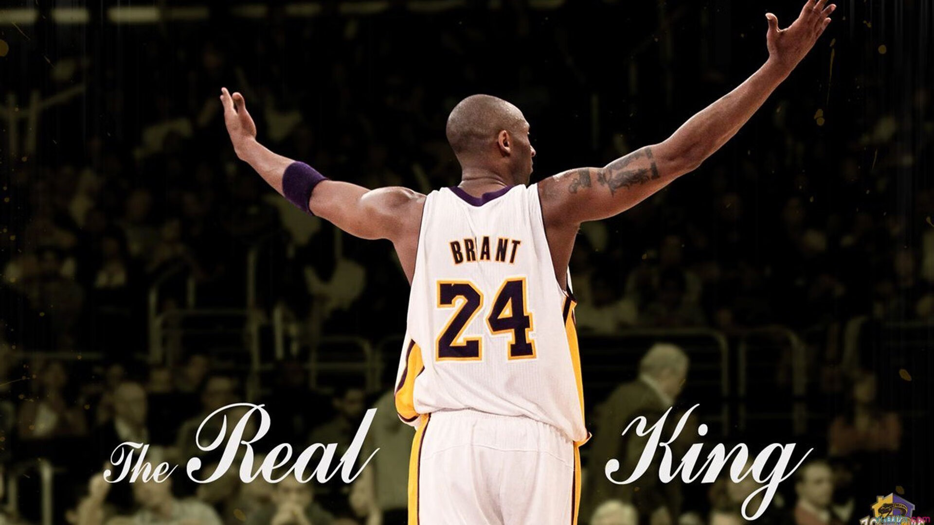 开云体育vip-史上最“疯狂”的快攻：快速反击的速度与激情，快攻型打法